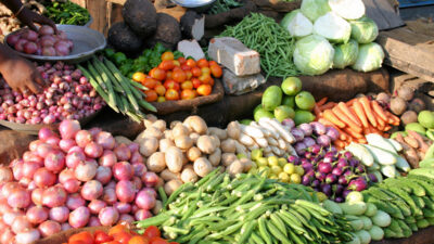 50 percent subsidy on cultivation of fruits and vegetables