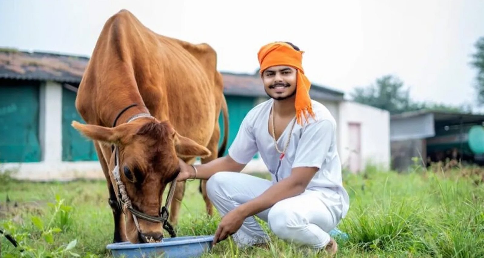 रोजगार का सुनहरा मौका, SBI की मदद से गांव में शुरू करें पशुपालन बिजनेस