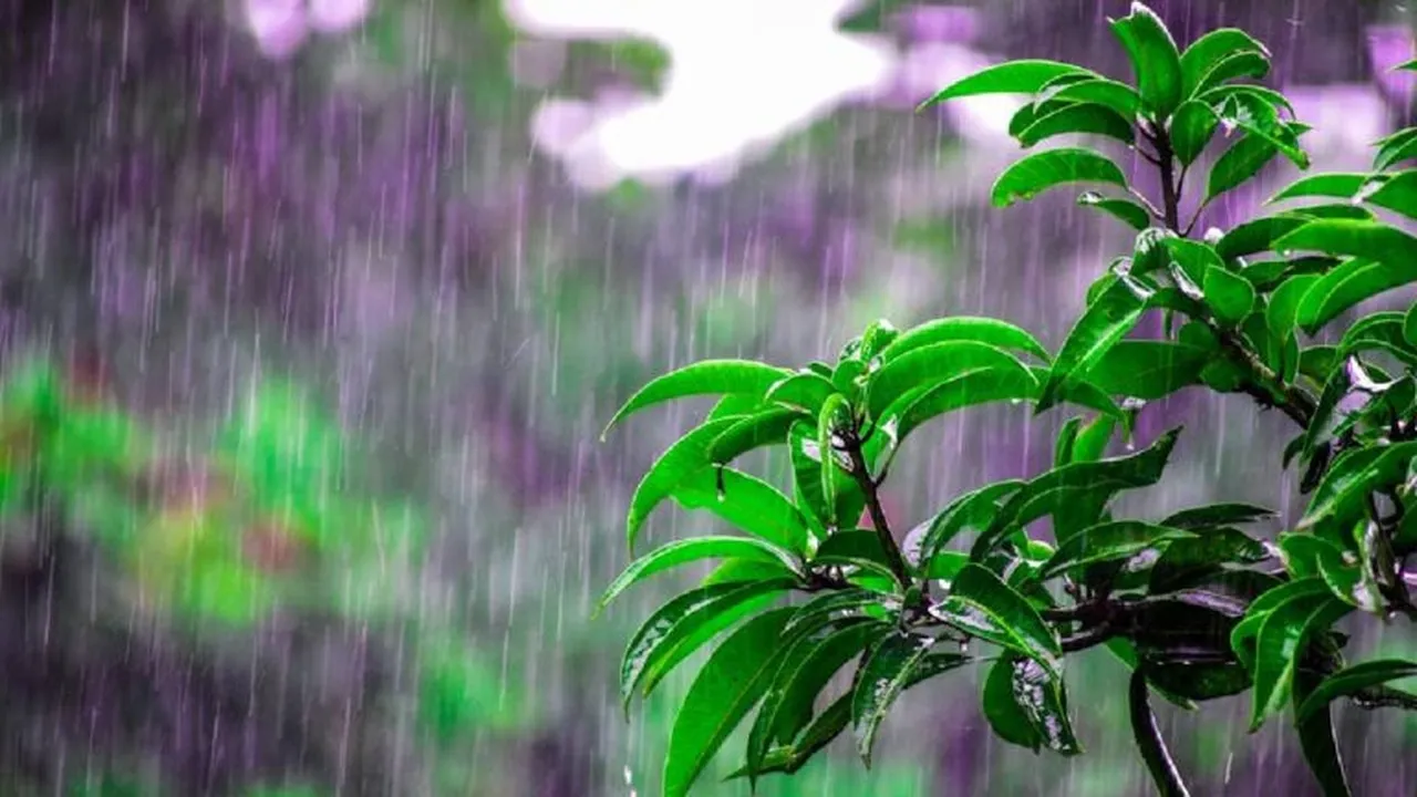 बिहार, उत्तराखंड और एमपी में भारी बारिश की चेतावनी, मौसम विभाग ने जारी किया अलर्ट