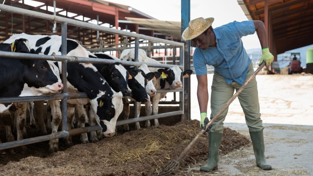 Gopal credit card yojna