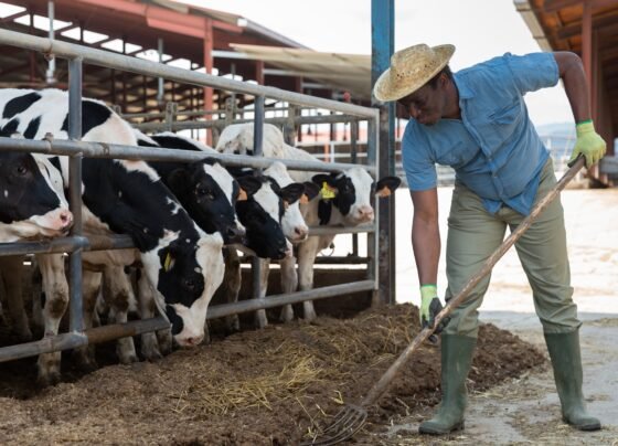 Gopal credit card yojna