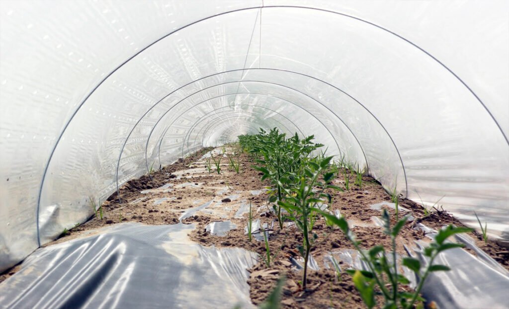 Jal bachat k liye kare low tannal takniki se kare sabji utpadhan