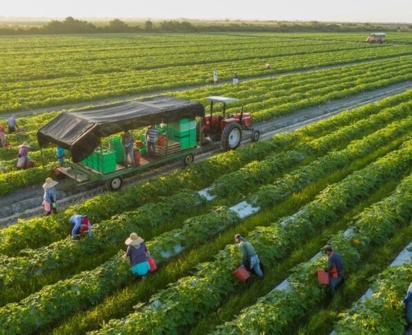 Maharashtra Natural Farming Scheme