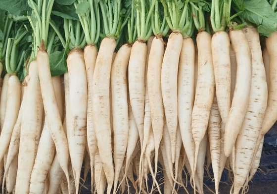 Muli ki kheti kese kare