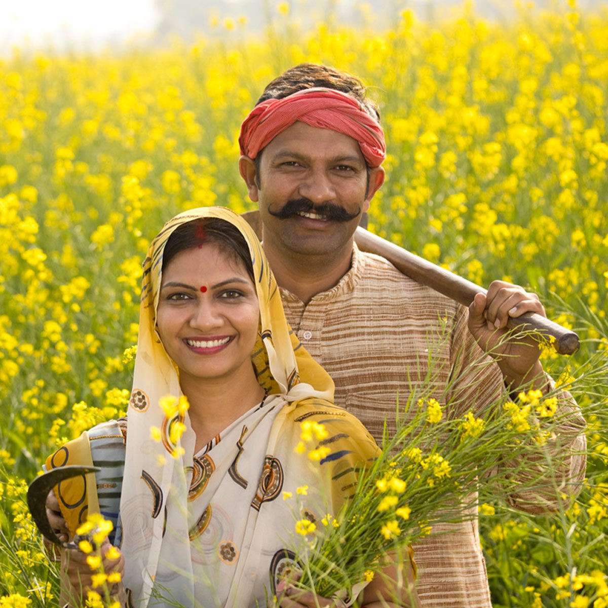 राष्ट्रीय किसान दिवस 2025: देश के अन्नदाता को सम्मान और समर्पण का दिन Rastriya kisan divas 2025