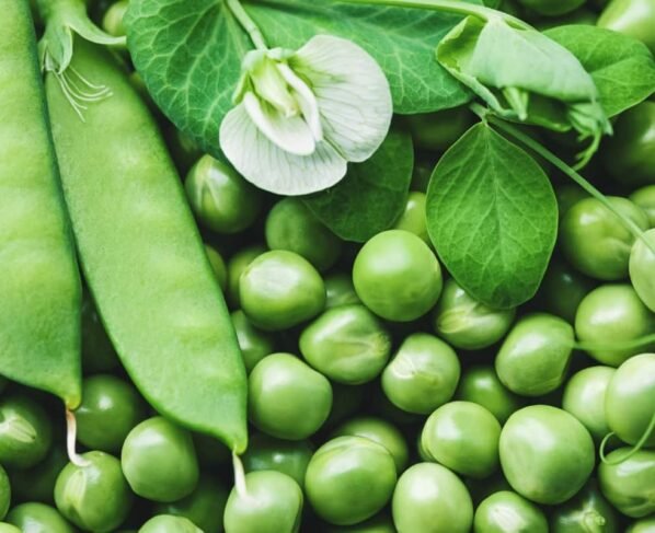 Thand or paale ka bhi nhi hoga matar par asar
