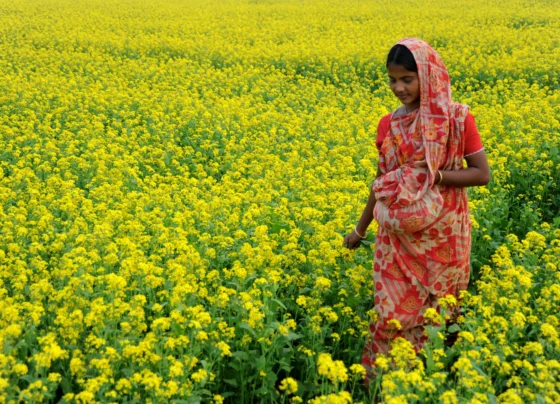 Zin aditade sarso ko milne wali hai manjuri