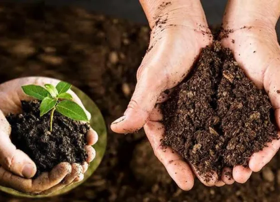 Chemical khad ki ab jarurat nahi..gaay k gobar se bnay khad