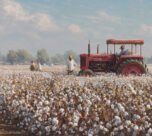 Ab tej or sasti hogi ,kapas ki tudai: krishi mantri shivraj singh ne lounch kiya naya harwester , janiye iski khasiyat