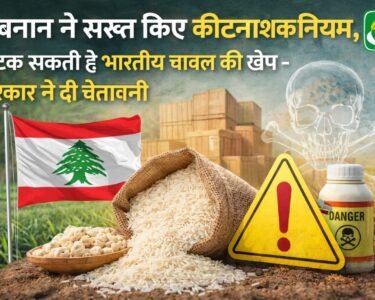 Lebnan ne sakht kiye kitnaashk niyam, atak sakti hai bhartiy chawal ki khenpe - sarkar ne di chetavani