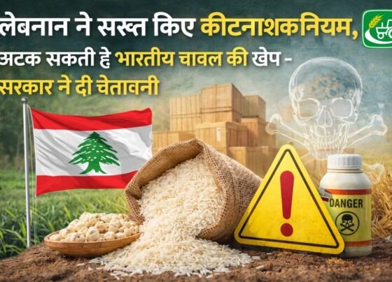 Lebnan ne sakht kiye kitnaashk niyam, atak sakti hai bhartiy chawal ki khenpe - sarkar ne di chetavani