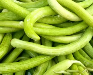 Fabruary-march me kare kakdi ki buwai,jane unnat kisme or sahi buwai ka tarika