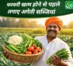 February khtm hone se pehle lgaye ageti sabjiya , march-april me milega badhiya daam or jyada munafa