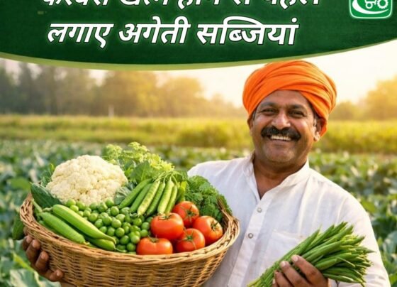 February khtm hone se pehle lgaye ageti sabjiya , march-april me milega badhiya daam or jyada munafa