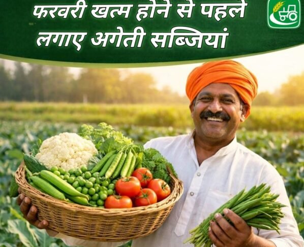 February khtm hone se pehle lgaye ageti sabjiya , march-april me milega badhiya daam or jyada munafa