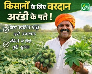 Kisano ke liye vardaan arandi ke patte , kam khrch me mitti bane upjaau or kito se mile puri surksha