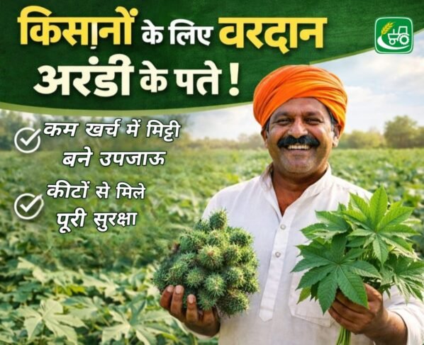 Kisano ke liye vardaan arandi ke patte , kam khrch me mitti bane upjaau or kito se mile puri surksha