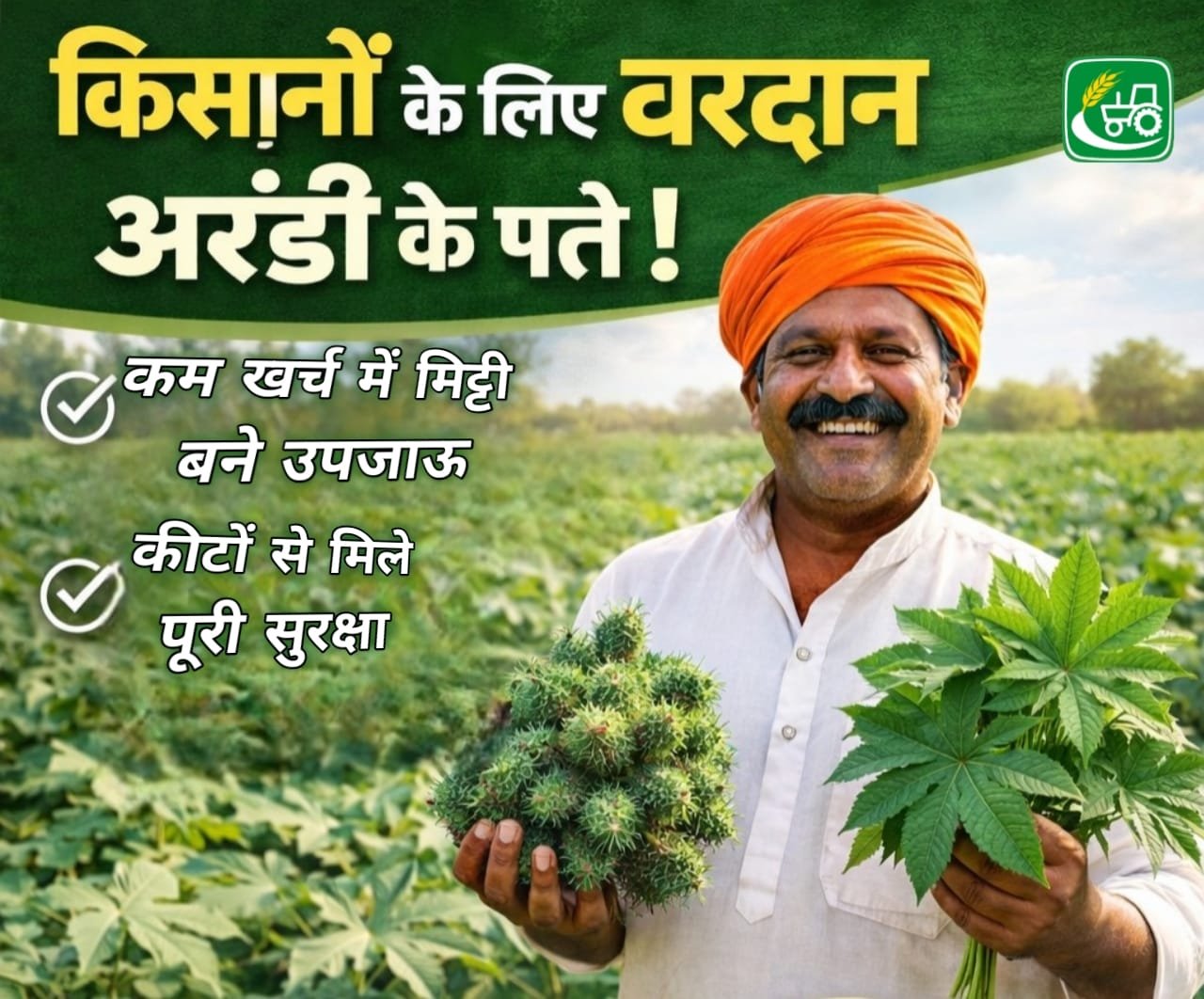 किसानों के लिए वरदान अरंडी के पत्ते, कम खर्च में मिट्टी बने उपजाऊ और कीटों से मिले पूरी सुरक्षा Kisano ke liye vardaan arandi ke patte , kam khrch me mitti bane upjaau or kito se mile puri surksha