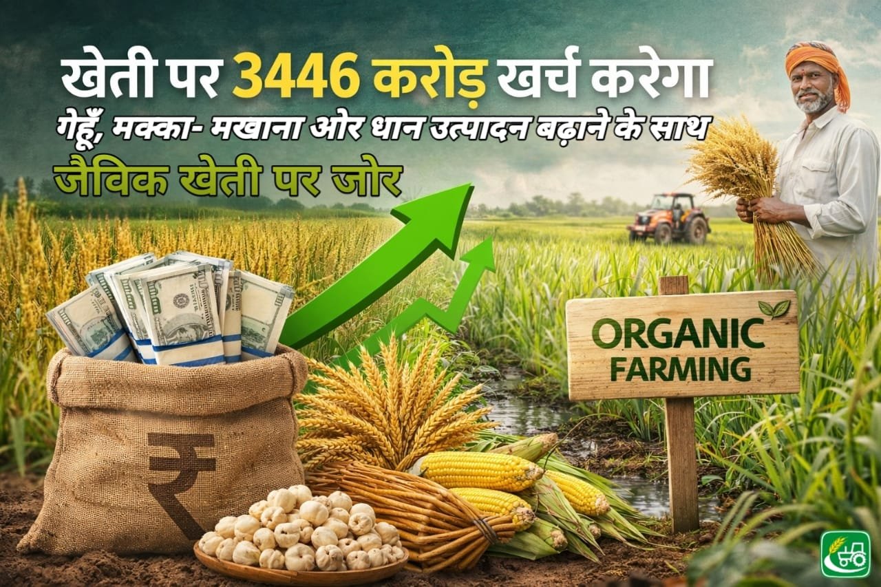 खेती पर 3446 करोड़ खर्च करेगा बिहार, गेहूं, मक्का-मखाना और धान उत्पादन बढ़ाने के साथ जैविक खेती पर जोर Kheti par 3446 Cr. khrch karega , gehu, makka-makhana or dhan utpadan badhane ke sath jaivik kheti par jor