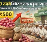 500 rupye kwintal tak pahucha pyaj ka bhav, naraz kisano ki APMC karyalay par bhukh hadtaal.. ki ye maang