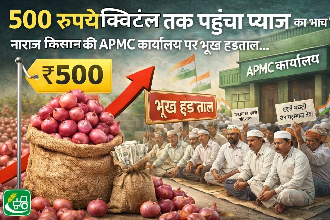 Mandi ka bhav:500 रुपये क्विंटल तक पंहुचा प्याज का भाव , नाराज किसानों की APMC कार्यालय पर भूख हड़ताल.. की ये मांग 500 rupye kwintal tak pahucha pyaj ka bhav, naraz kisano ki APMC karyalay par bhukh hadtaal.. ki ye maang