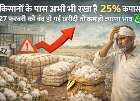 27 February ko band ho gai kapas ki kharidi to kam ho jayga bhav