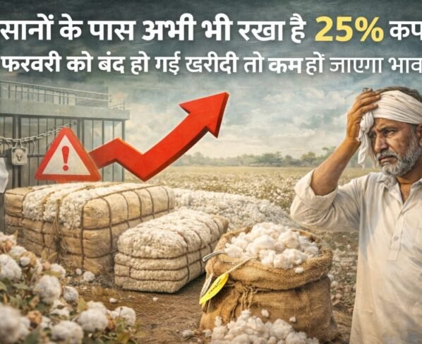 27 February ko band ho gai kapas ki kharidi to kam ho jayga bhav