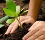 podho me khad dalte samay na kare ye galtiya , varna fayde ki jagah hoga nuksan