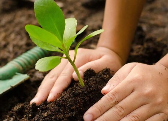 podho me khad dalte samay na kare ye galtiya , varna fayde ki jagah hoga nuksan