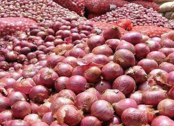 Maharashtra me 100 rupye kwintal pyaj , chagan bhujbal ne CM ko likha patra.. ki 500 rupye kwintal sabcidi ki maag