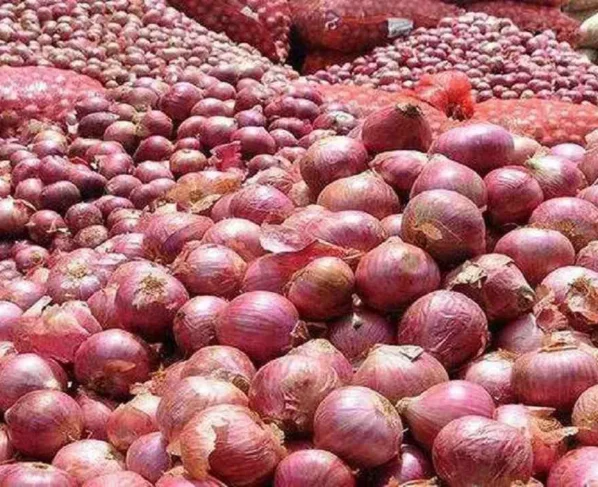 Maharashtra me 100 rupye kwintal pyaj , chagan bhujbal ne CM ko likha patra.. ki 500 rupye kwintal sabcidi ki maag