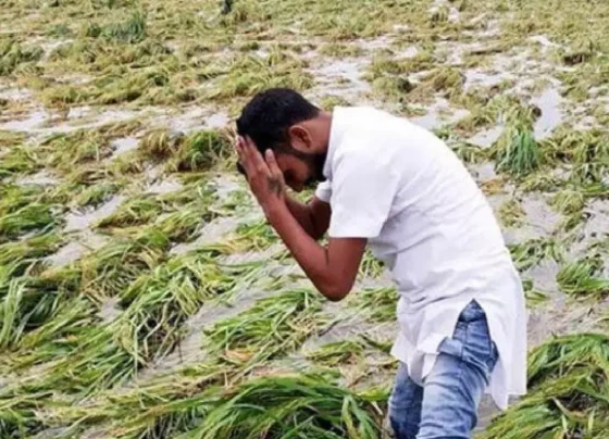 Barish se barbad rabee faslo ka muavza dene ki ghoshna , 32 hazar rupye prati hekteyar milegi rashi