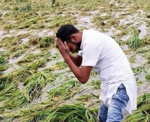 Barish se barbad rabee faslo ka muavza dene ki ghoshna , 32 hazar rupye prati hekteyar milegi rashi