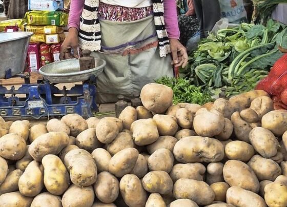 Hariyana-Punjab Me 2 Rupye KG Aalu