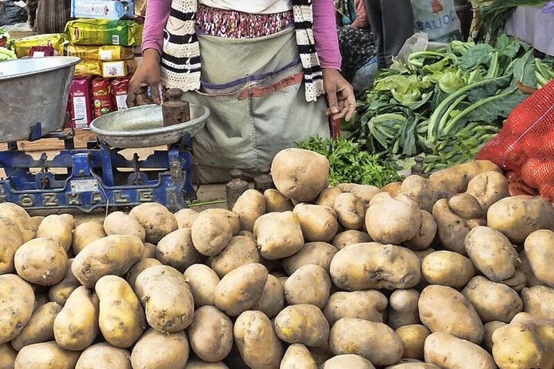 Hariyana-Punjab Me 2 Rupye KG Aalu, Kisano Ko Nuksaan.. Kya 12 Rupye KG MSP Par Shuru Hogi Khrid? हरियाणा-पंजाब में 2 रुपये किलो आलू, किसानों को नुकसान.. क्या 12 रुपये किलो MSP पर शुरू होगी खरीदी?