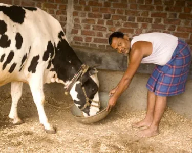 Pashu Chikitsak Ne Di Chetavani