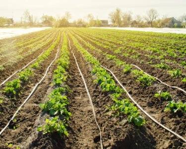 Drip Sinchai Pranali Kya Hain ?