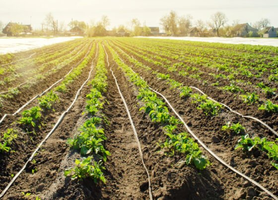 Drip Sinchai Pranali Kya Hain ?