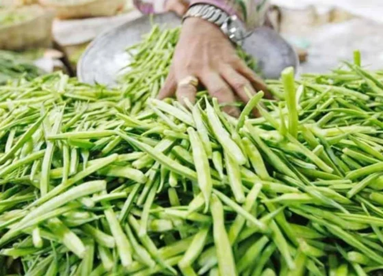 Kab Kare Gvarfali Ki Kheti