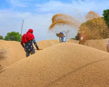 Gehu Kharid Par Milega 40Ruypay Prati Qwintal Bonus