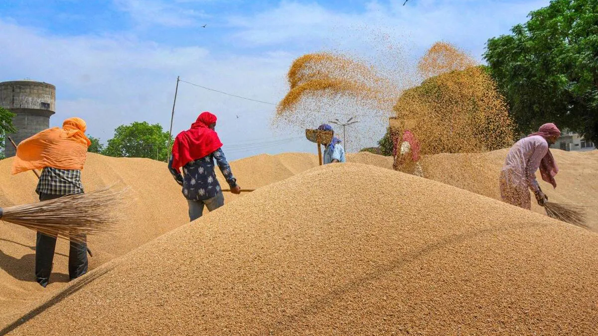 Gehu Kharid Par Milega 40Ruypay Prati Qwintal Bonus , गेहूं खरीद पर मिलेगा ₹40 प्रति क्विंटल बोनस, किसानों को होगा सीधा फायदा