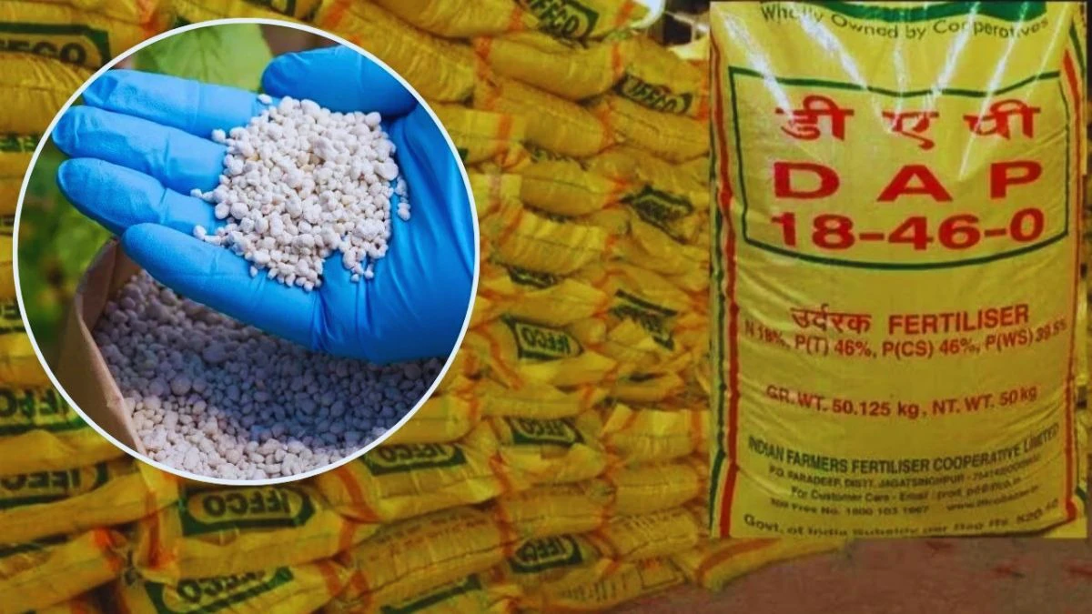 Kya Khad Ka Koi Sankat Nhi Hai? Sarkari Aakdo Ne Khol Di Hakikat.. Janiye Khad Dimand , Stok Or Utpadan क्या खाद का कोई संकट नहीं है? सरकारी आंकड़ों ने खोल दी हकीकत.. जानिए खाद डिमांड, स्टॉक और उत्पादन