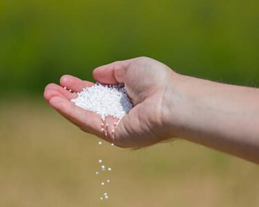 Kharif Season 2026 , Sarkar Alert