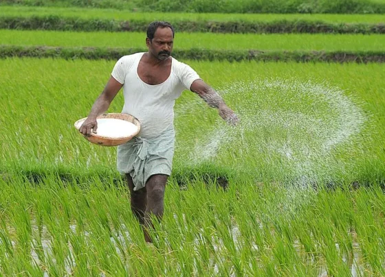 Veshweek sankat k bich kharif k liye khad ka prayapt bhandar,sarkar ne kisano ko diya bharosa