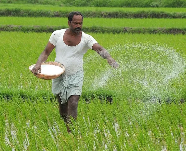 Veshweek sankat k bich kharif k liye khad ka prayapt bhandar,sarkar ne kisano ko diya bharosa