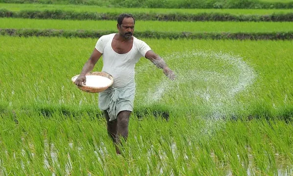 Jayad Fasalo Ki Buvai Me Susti
