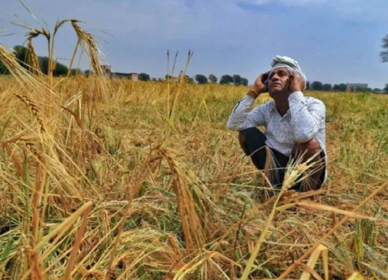 emousam Barish Se Kisano Par Sankat