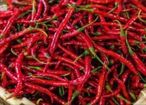 Aasman Chu Rha Mirch Ka Bhav