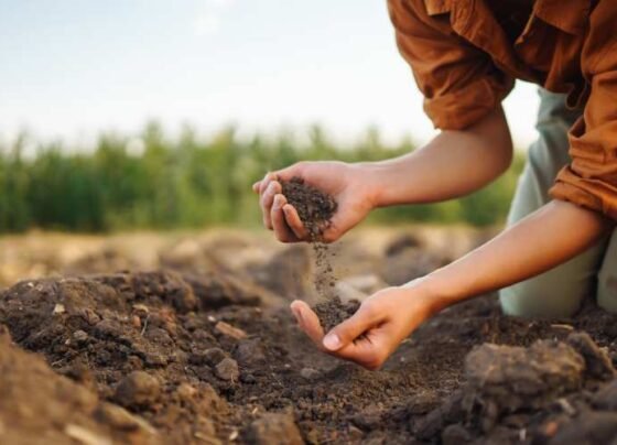 Khat Ki Mitti Uglegi Sona ,Apnay Ye Tarika