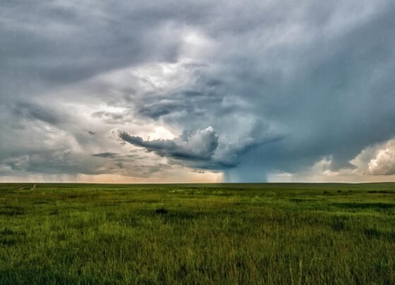 Rajasthan Me Chaay Badal, Tej Barish Ka Aleart